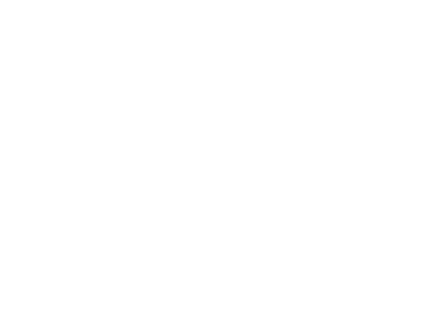 Painting Cleaning Handyman